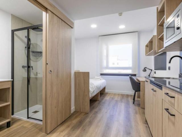 1 Dormitorio Apartamentos Madrid Madrid 103371804
