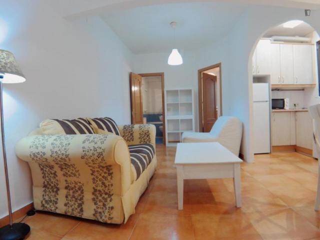 1 Dormitorio Apartamentos Madrid Madrid 103594924