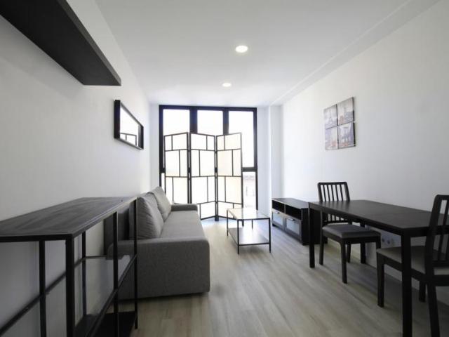 1 Dormitorio Apartamentos Madrid Madrid 103695456