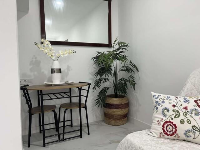 1 Dormitorio Apartamentos Madrid Madrid 103772806
