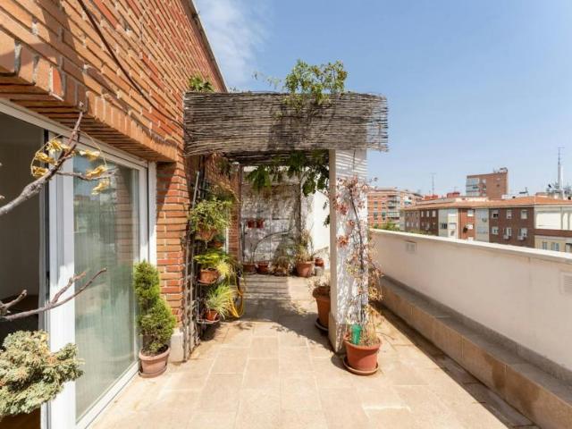 1 Dormitorio Apartamentos Madrid Madrid 103922076