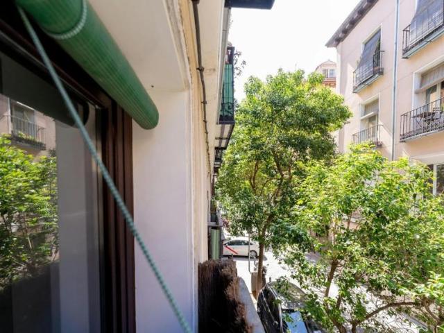 1 Dormitorio Apartamentos Madrid Madrid 103922259