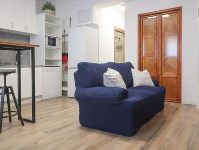 1 Dormitorio Apartamentos Madrid Madrid 76039694