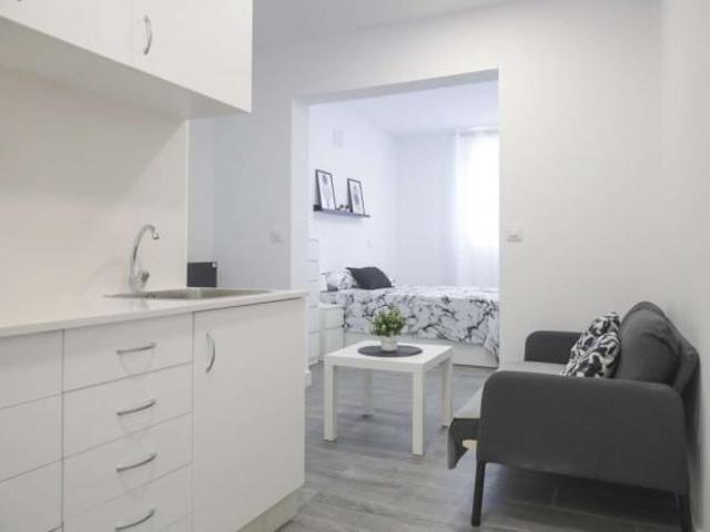 1 Dormitorio Apartamentos Madrid Madrid 76039702