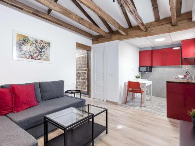 1 Dormitorio Apartamentos Madrid Madrid 91548255