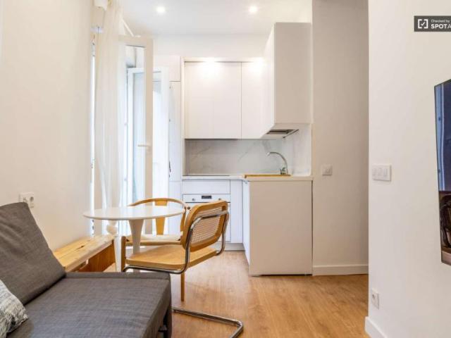 1 Dormitorio Apartamentos Madrid Madrid 91726900