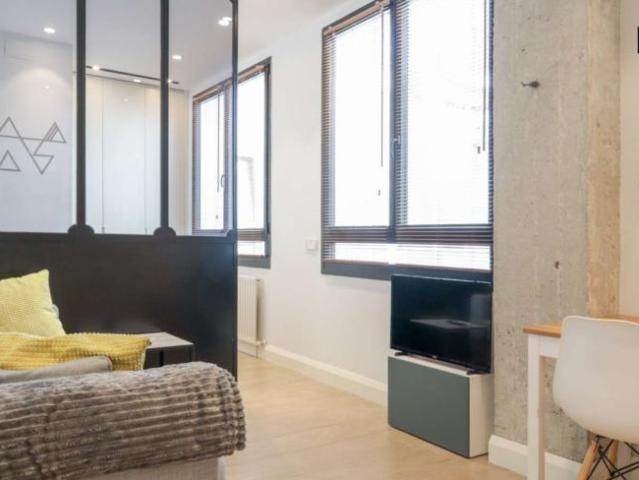 1 Dormitorio Apartamentos Madrid Madrid 93485391