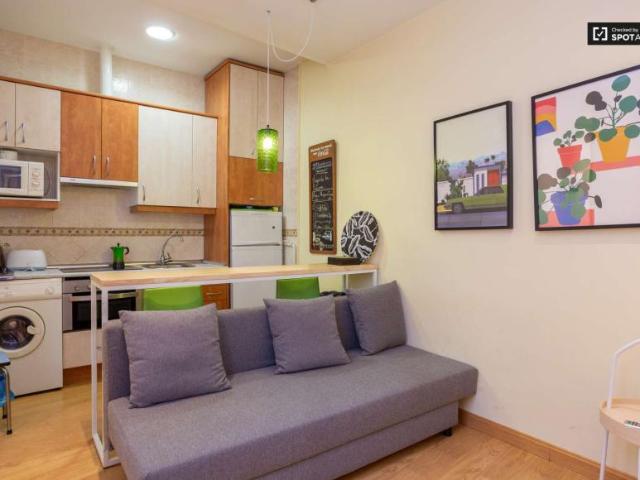 1 Dormitorio Apartamentos Madrid Madrid 94752333