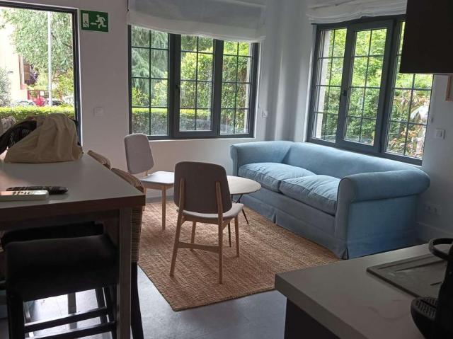 1 Dormitorio Apartamentos Madrid Madrid 95477226