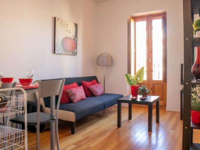 1 Dormitorio Apartamentos Madrid Madrid 96498443