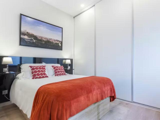 1 Dormitorio Apartamentos Madrid Madrid 96562973