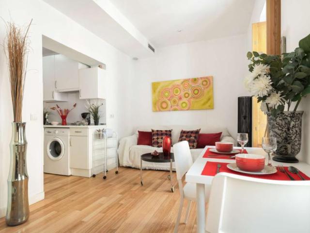 1 Dormitorio Apartamentos Madrid Madrid 96848924