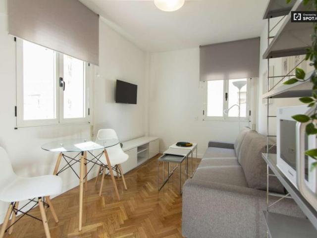 1 Dormitorio Apartamentos Madrid Madrid 97132842