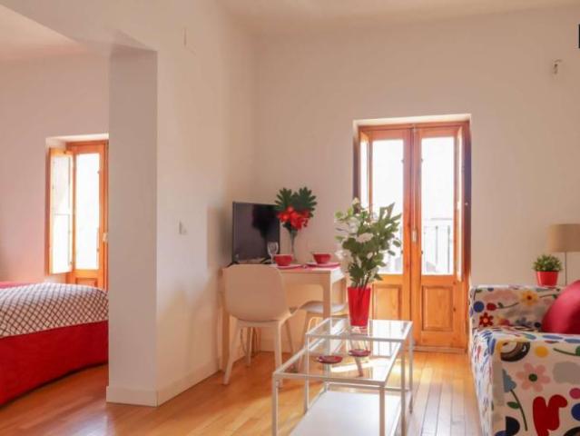 1 Dormitorio Apartamentos Madrid Madrid 97133113