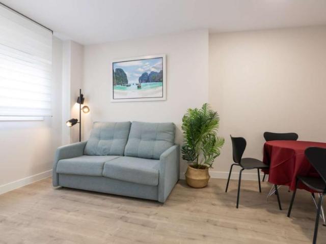 1 Dormitorio Apartamentos Madrid Madrid 97272505
