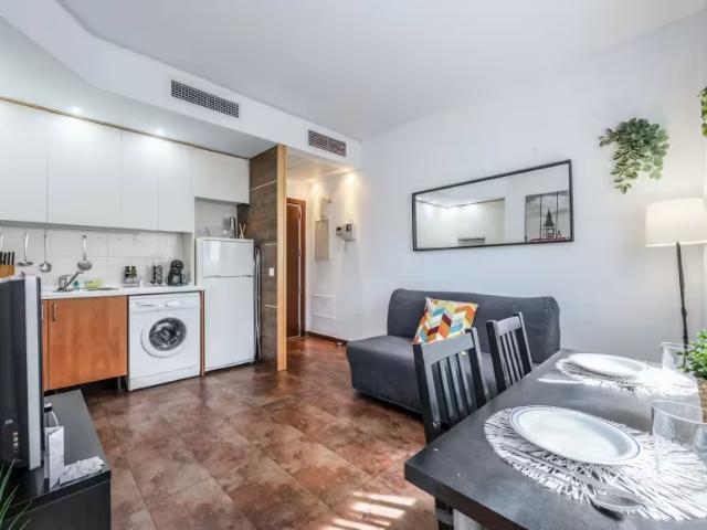 1 Dormitorio Apartamentos Madrid Madrid 98496143