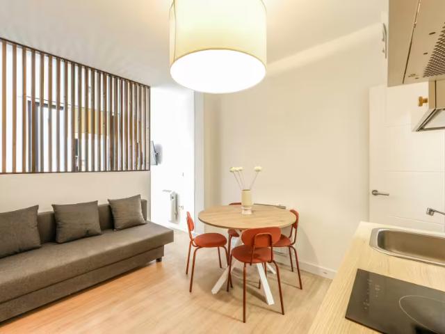 1 Dormitorio Apartamentos Madrid Madrid 98022806