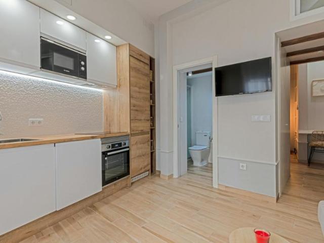 1 Dormitorio Apartamentos Madrid Madrid 99687265