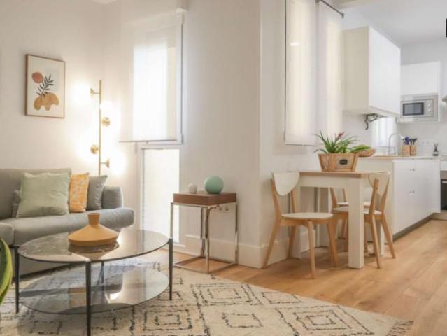 1 Dormitorio Apartamentos Madrid Madrid 99761684