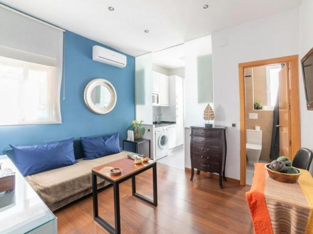 1 Dormitorio Apartamentos Madrid Madrid 99766665