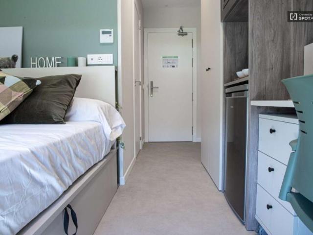 1 Dormitorio Apartamentos Madrid Madrid 99978783