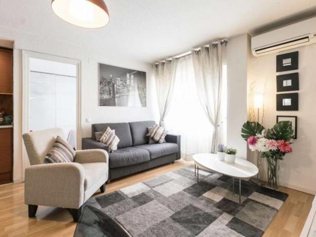 1 Dormitorio Apartamentos Madrid Madrid LS54245892