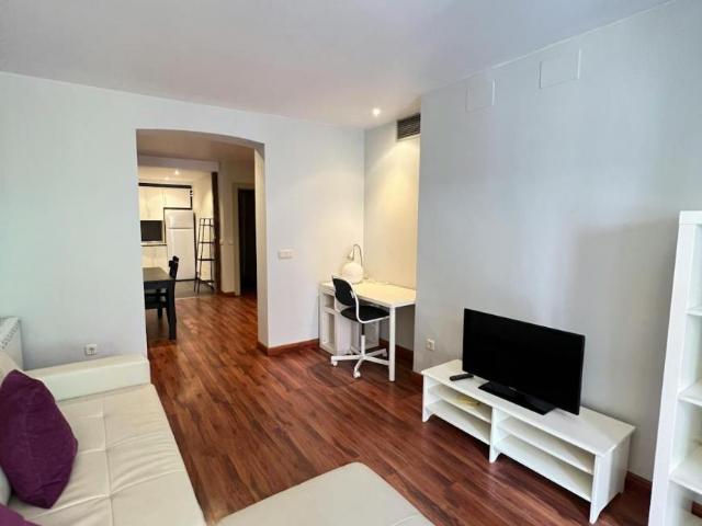 1 Dormitorio Apartamentos Madrid Madrid LS89181925