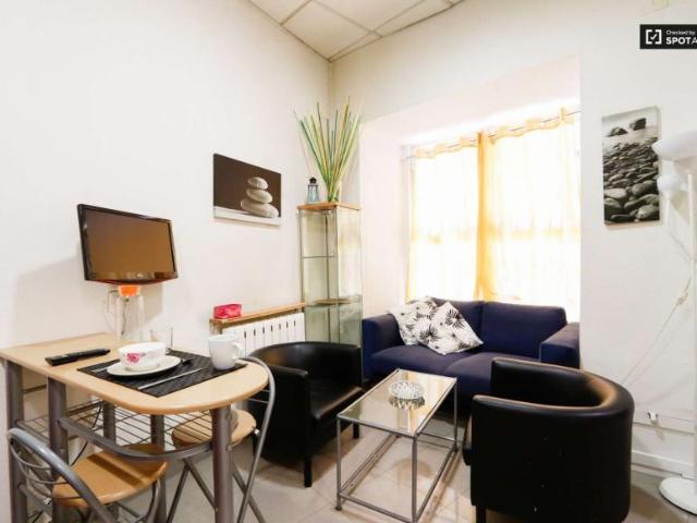 1 Dormitorio Apartamentos Madrid Madrid LS90668625