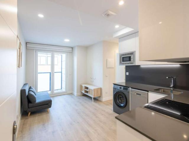 1 Dormitorio Apartamentos Madrid Madrid LS91660028