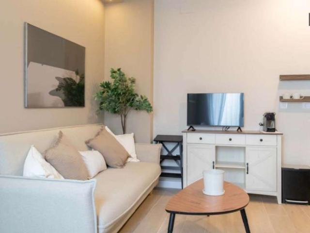 1 Dormitorio Apartamentos Madrid Madrid LS93584272
