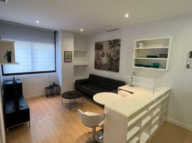 1 Dormitorio Apartamentos Madrid Madrid LS94863779