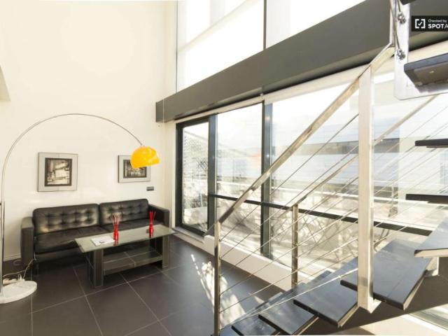 1 Dormitorio Apartamentos Madrid Madrid LS97132808
