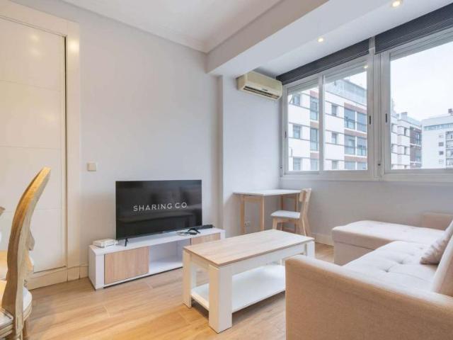 1 Dormitorio Apartamentos Madrid Madrid LS99009882
