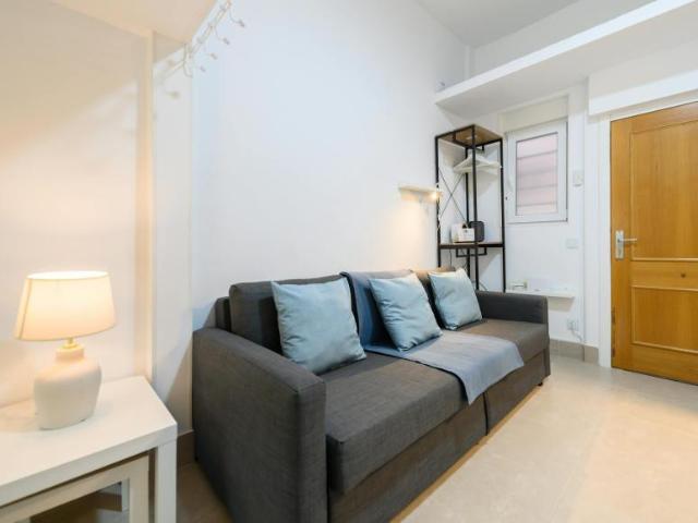1 Dormitorio Apartamentos Madrid Madrid LS100634984