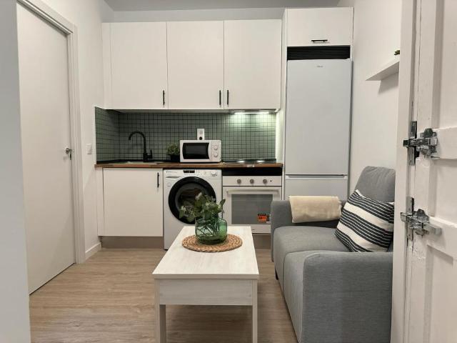 1 Dormitorio Apartamentos Madrid Madrid LS100718546