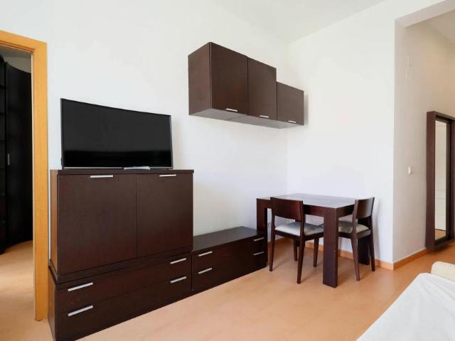 1 Dormitorio Apartamentos Madrid Madrid LS100725598