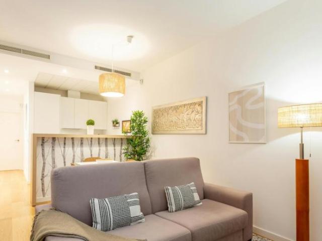 1 Dormitorio Apartamentos Madrid Madrid LS100765568