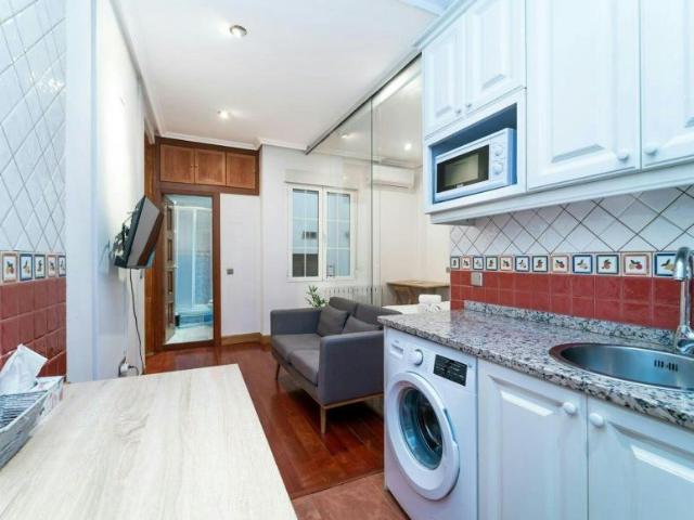 1 Dormitorio Apartamentos Madrid Madrid LS101588028