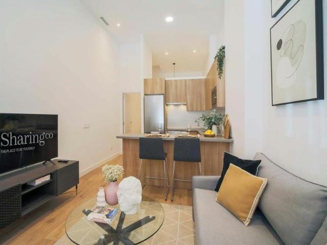 1 Dormitorio Apartamentos Madrid Madrid LS101615452