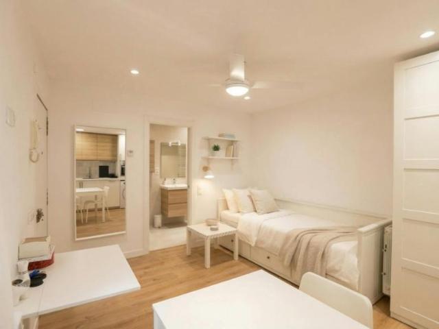 1 Dormitorio Apartamentos Madrid Madrid LS101728100