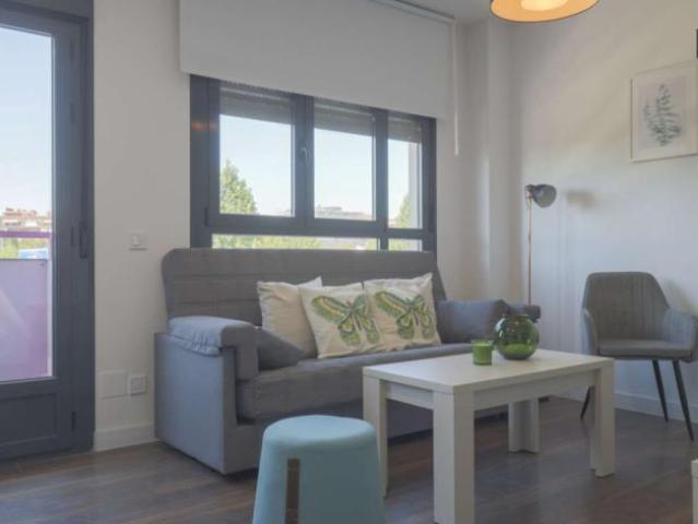 1 Dormitorio Apartamentos Madrid Madrid LS101776481