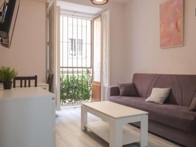 1 Dormitorio Apartamentos Madrid Madrid LS101808023