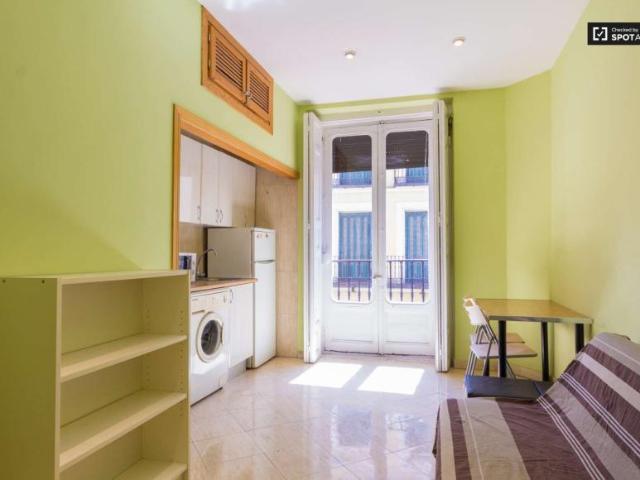 1 Dormitorio Apartamentos Madrid Madrid LS101809688