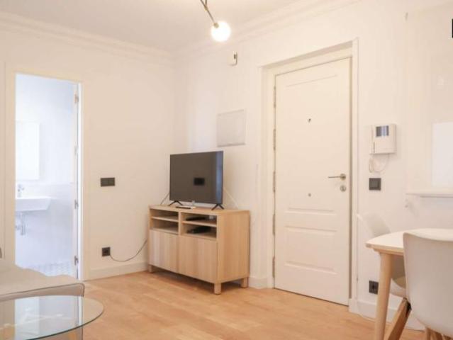 1 Dormitorio Apartamentos Madrid Madrid LS101810636