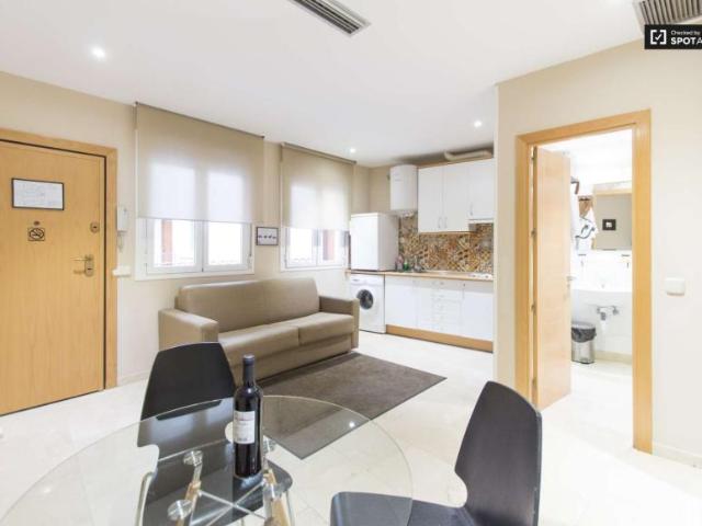 1 Dormitorio Apartamentos Madrid Madrid LS101813168