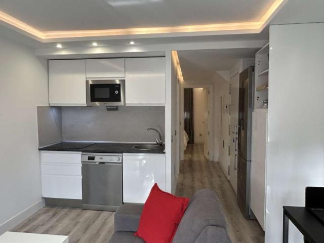 1 Dormitorio Apartamentos Madrid Madrid LS101816395