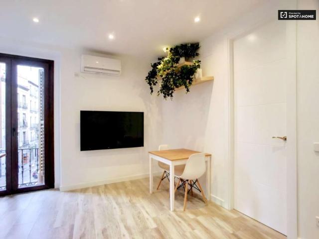 1 Dormitorio Apartamentos Madrid Madrid LS101817897