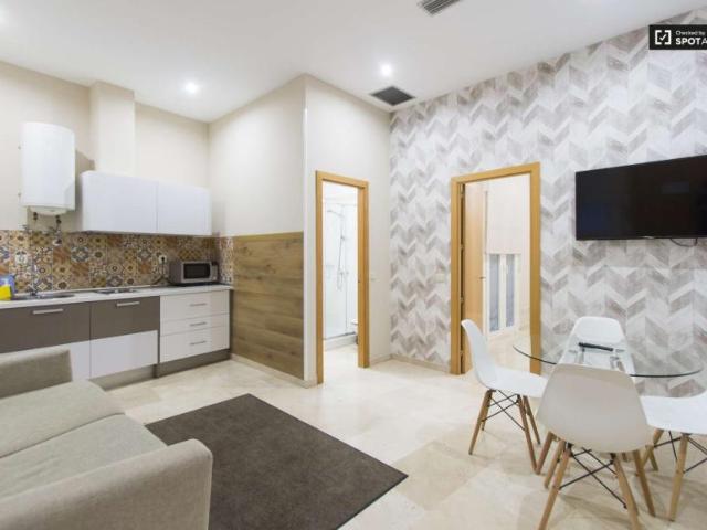 1 Dormitorio Apartamentos Madrid Madrid LS101819126