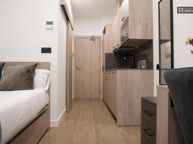 1 Dormitorio Apartamentos Madrid Madrid LS101820839