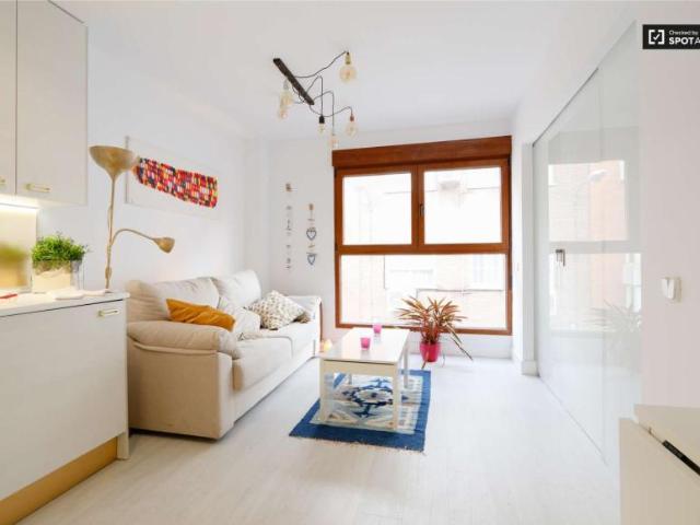1 Dormitorio Apartamentos Madrid Madrid LS101823129